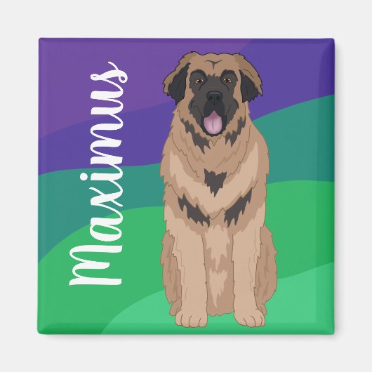  Leonberger Magneet (Voorkant)