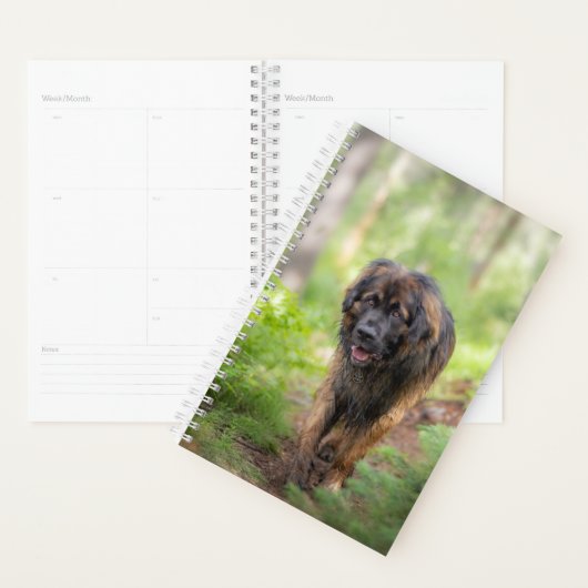 Leonberger Planner (Display)