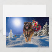 Leonberger sauve la carte plate de vacances de (Devant / Derrière)