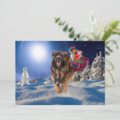 Leonberger sauve la carte plate de vacances de (Debout devant)