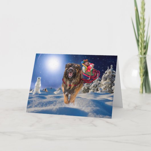 Leonberger sauve Père Noël ! Carte pliée de (Devant)