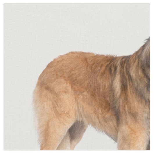 Leonberger Stof (Close Up)