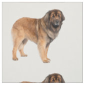 Leonberger Stof (Swatch)