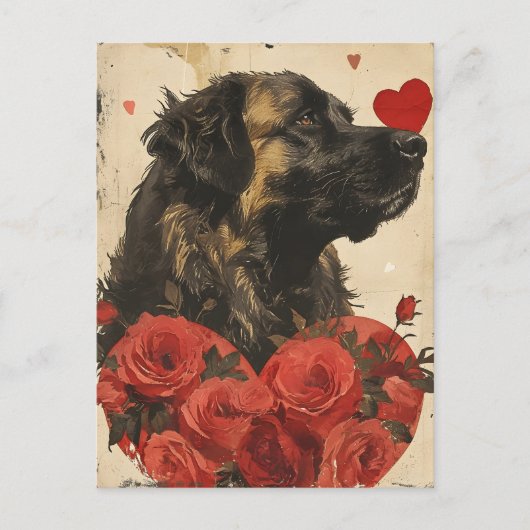 Leonberger Valentijnsdag Briefkaart (Voorkant)