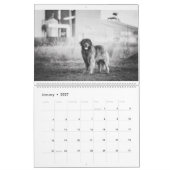 Leonbergers Kalender (Jan 2027)