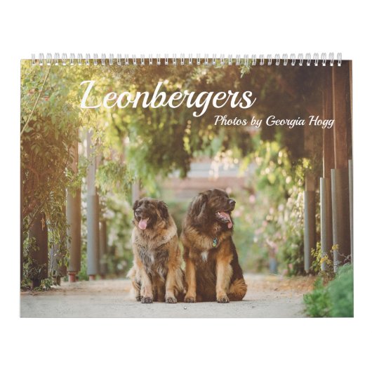 Leonbergers Kalender (Hoes)