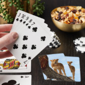 Leoness Pokerkaarten (Insitu)