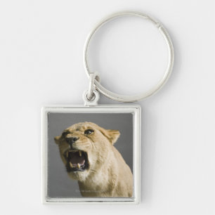 Leoness roaring sleutelhanger