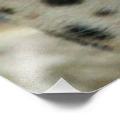 Leopard20151002 Foto Afdruk (Hoek)