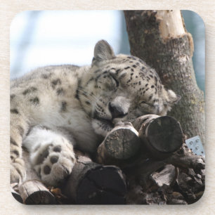 Leopard 002 bier onderzetter