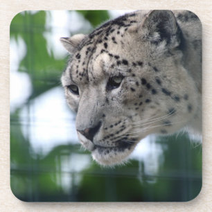 Leopard 003 bier onderzetter