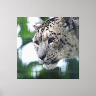 Leopard 003 canvas afdruk