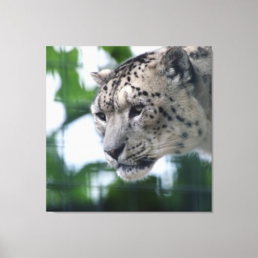 Leopard 003 canvas afdruk (Voorkant)