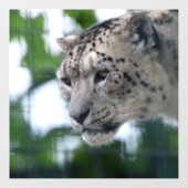 Leopard 003 raamsticker (Vel)