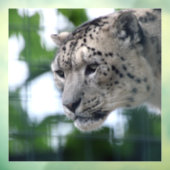 Leopard 003 raamsticker (Vel 3)