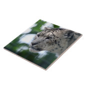 Leopard 003 tegeltje (Zijkant)
