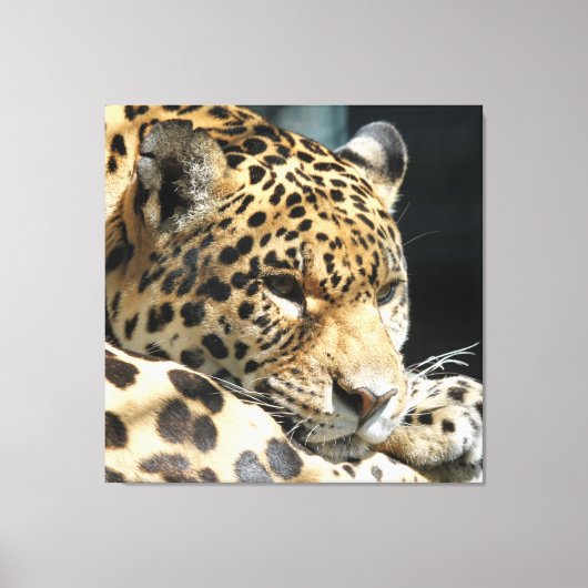 Leopard 004 canvas afdruk (Voorkant)
