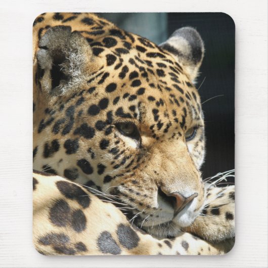 Leopard 004 muismat (Voorkant)