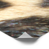 Leopard 004 poster (Hoek)