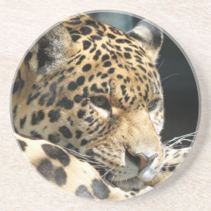 Leopard 004 zandsteen onderzetter