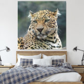 Leopard 006 canvas afdruk (Insitu (Slaapkamer))