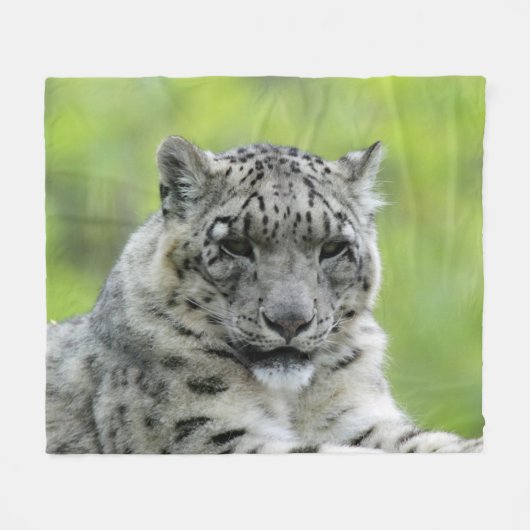 Leopard_2015_0310 Fleece Deken (Voorkant (Horizontaal))