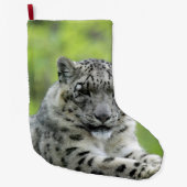 Leopard_2015_0310 Grote Kerstsok (Voorkant)