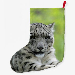 Leopard_2015_0310 Grote Kerstsok