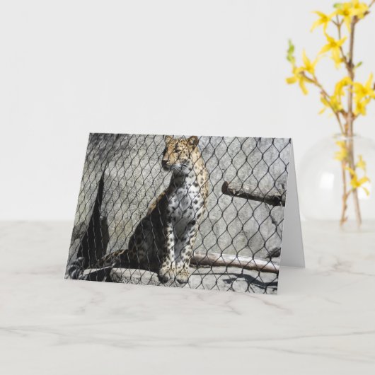"Leopard #2" Carte de puits (Fleur jaune)
