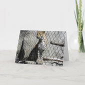"Leopard #2" Carte de puits (Devant)