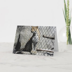 "Leopard #2" Carte de puits