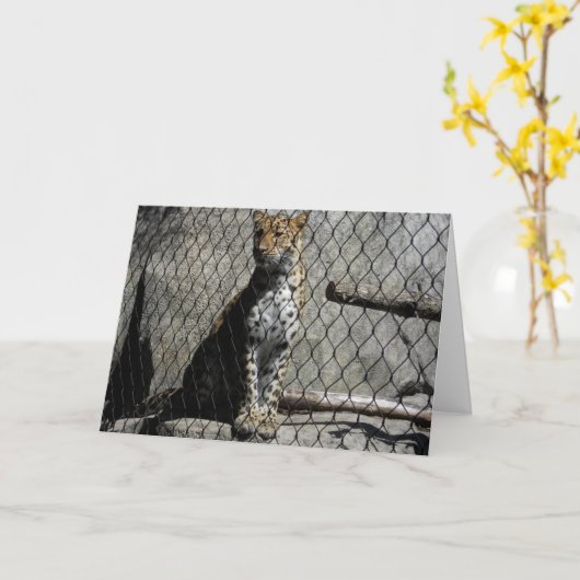"Leopard #3" Carte de puits (Fleur jaune)