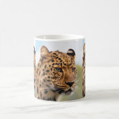 Léopard 3 Mugs (Centre)