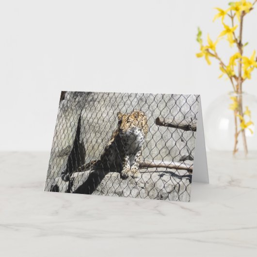 "Leopard #4" Carte de puits (Fleur jaune)