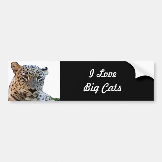Leopard afdrukken bumpersticker (Voorkant)