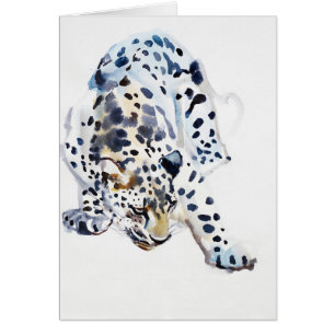 Léopard Arabe 2008 5