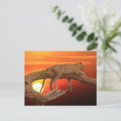 Leopard au coucher du soleil carte postale (Debout devant)