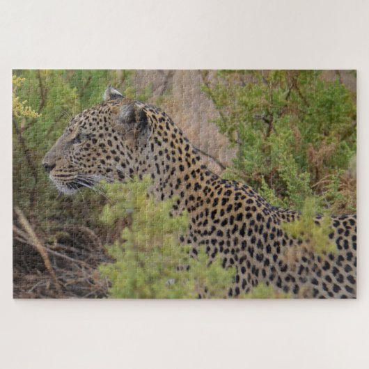 Léopard au Kenya Afrique Puzzle (Horizontal)