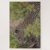 Léopard au Kenya Afrique Puzzle (Vertical)