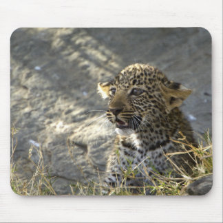 Leopard Baby Muismat