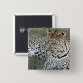 Leopard badge vierkante button 5,1 cm (Voorkant /achterkant)