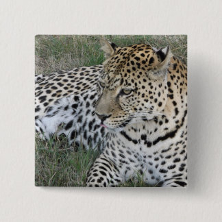 Leopard badge vierkante button 5,1 cm