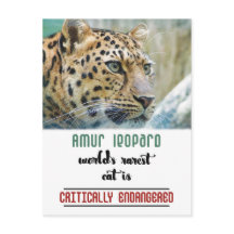 Leopard beschermt het Wildlife-citaat