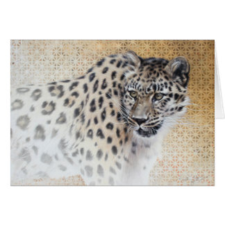 Leopard Blank Card par Andrew Denman