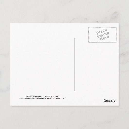 Leopard Briefkaart (Achterkant)