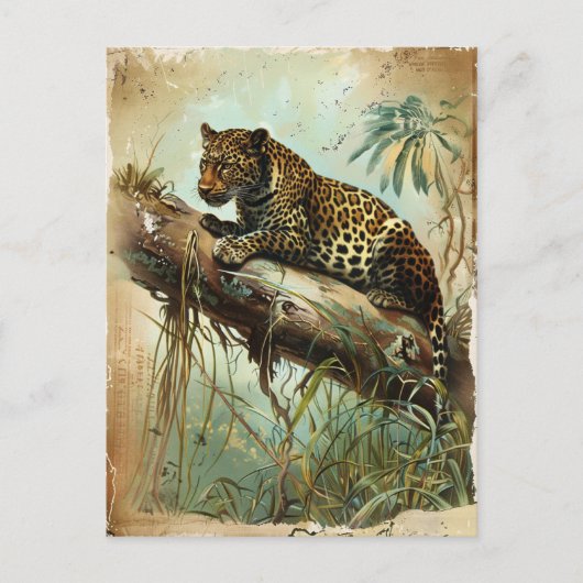Leopard  briefkaart (Voorkant)