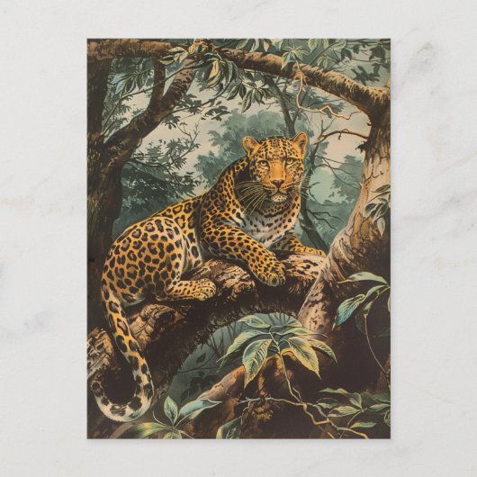 Leopard briefkaart (Voorkant)