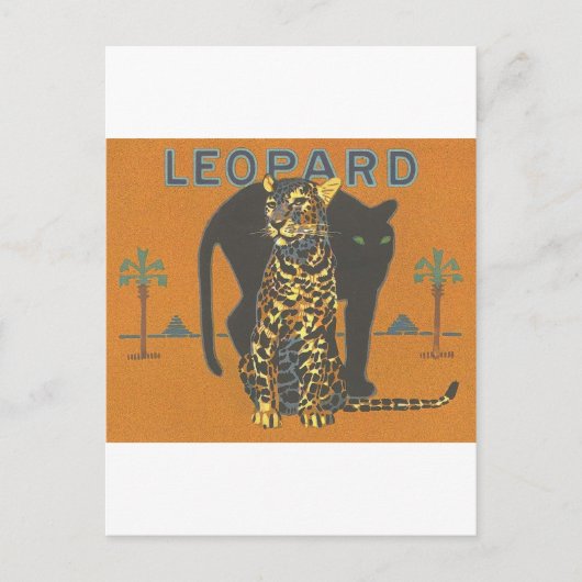 Leopard briefkaart (Voorkant)