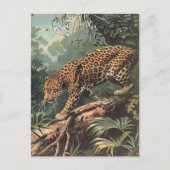 Leopard briefkaart (Voorkant)