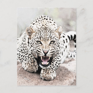 Leopard Briefkaart